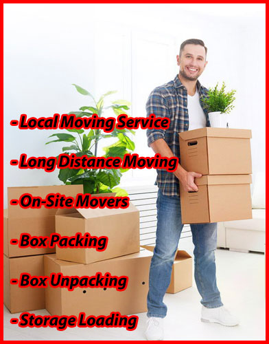 Packers And Movers Noida Sector 27